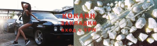 твердый Аркадак