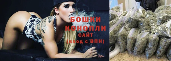 твердый Аркадак
