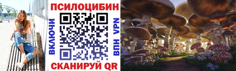 Галлюциногенные грибы Cubensis  Лихославль 